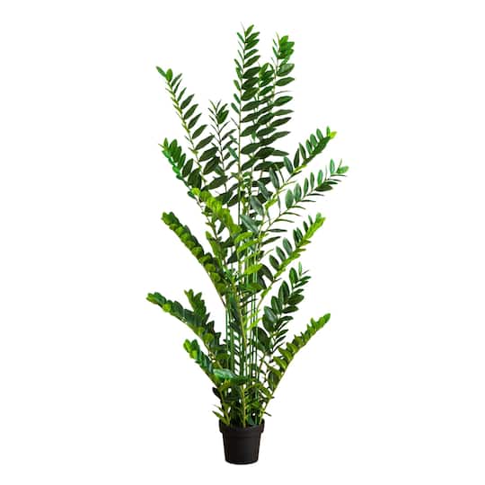 6ft. Artificial Zamioculcas Plant